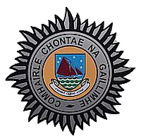 Galway County fire service